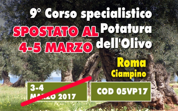 Corso di potatura su grandi olivi secolari abbandonati o senescenti mirato al recupero e mantenimento produttivo 