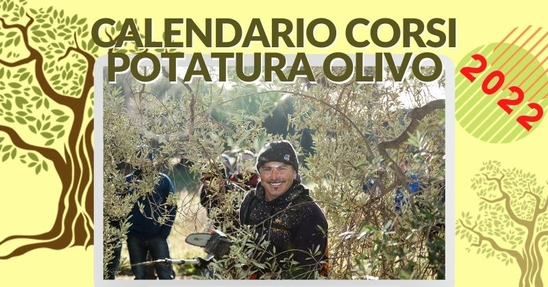 Calendario corsi potatura olivo con didattica Vaso Policonico 2022