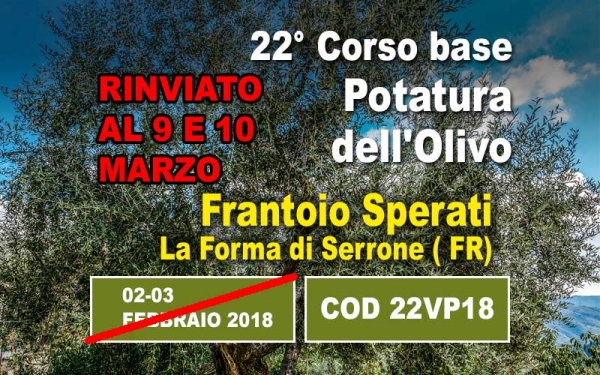 Due giorni di corso intensivo con prova pratica in campo. Dalla teoria allo sviluppo sistematico della potatura dell'olivo a vaso policonico