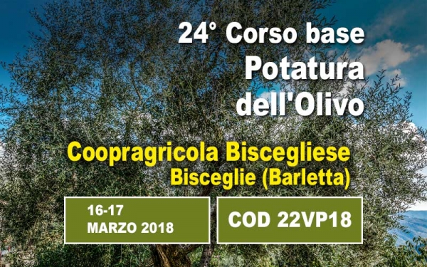 Due giorni di corso intensivo con prova pratica in campo. Dalla teoria allo sviluppo sistematico della potatura dell'olivo a vaso policonico