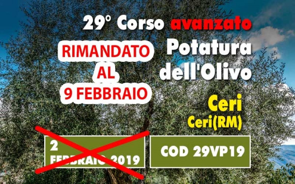 I corsisti sono affiancati da potatori professionisti.Corso avanzato di potatura. Utensili da taglio moderni e verifica in campo della didattica per eseguire correttamente il vaso policonico