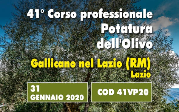 Corso potatura olivo a vaso policonico teorico-dimostrativo