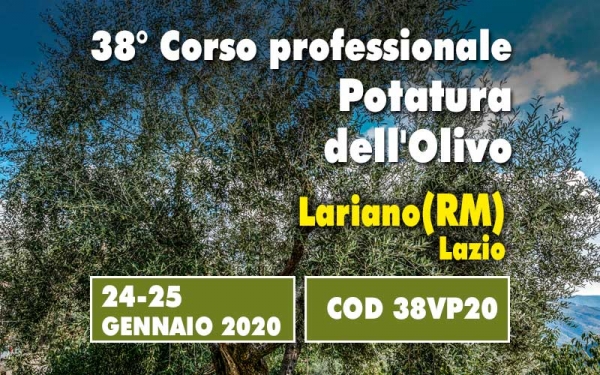 Corso potatura olivo a vaso policonico. Corso base pi&ugrave; una giornata di pratica in campo