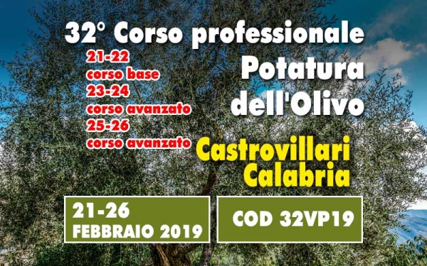 Due giorni di corso base sulla potatura dell&rsquo;olivo. Insegnamenti teorici e applicabili con dimostrazione pratica in campo.