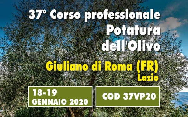 Corso potatura olivo a vaso policonico. Corso base pi&ugrave; una giornata di pratica in campo