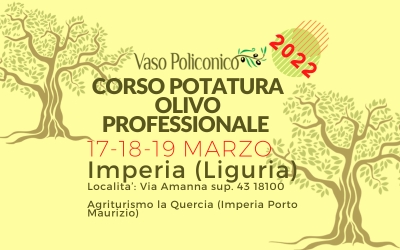 Corso potatura olivo professionale Imperia