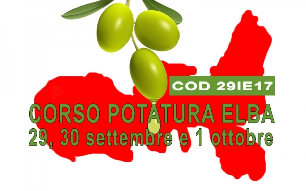 Tre giorni di corso all'Isola d' Elba dalla teoria allo sviluppo sistematico del vaso policonico, Comprendere e applicare in campo la potatura e gestione integrata dell'oliveto con la didattica sperimentata in decine di corsi