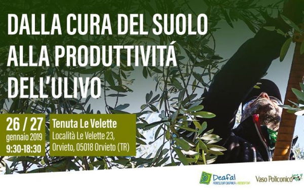 Due  giorni di corso: dalla cura del suolo alla produttivit&agrave; dell'olivo
