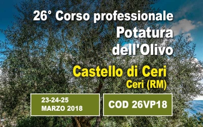 Tre giorni di corso dalla teoria allo sviluppo sistematico del vaso policonico, Comprendere e applicare in campo la potatura seguiti dai tutor di Vaso Policonico