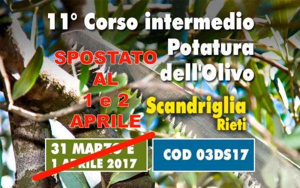 Due giorni di corso base sulla potatura dell&rsquo;olivo. Insegnamenti teorici e applicabili con dimostrazione pratica in campo.