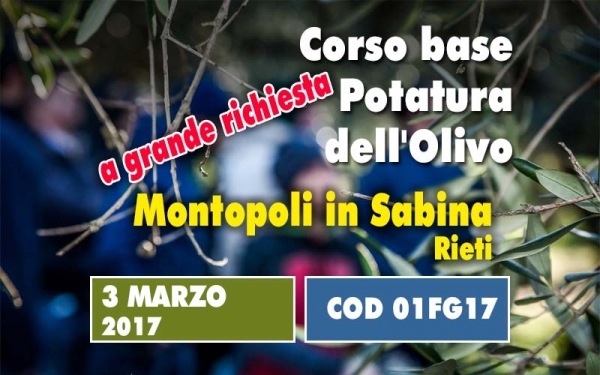 Un giorno di corso base sulla potatura dell&rsquo;olivo. Un concentrato di informazioni utili e immediatamente applicabili partendo da un insegnamento teorico 