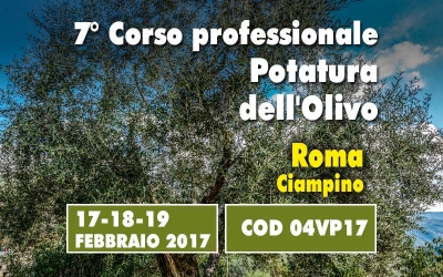 Tre giorni di corso dalla teoria allo sviluppo sistematico del vaso policonico, Comprendere e applicare in campo la potatura con il  Prof. Giorgio Pannelli