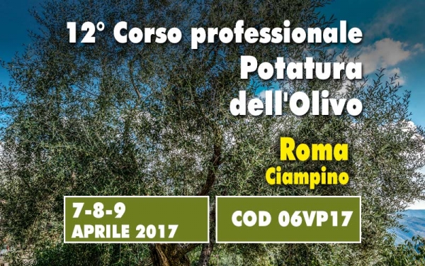 Tre giorni di corso dalla teoria allo sviluppo sistematico del vaso policonico, Comprendere e applicare in campo la potatura con il  Prof. Giorgio Pannelli