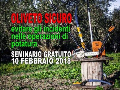 OLIVETO SICURO evitare gli incidenti nelle operazioni di potatura