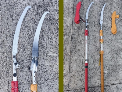 Recensione Silky Forester vs Longboy